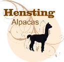 Alpaca Walking Hensting Alpacas logo